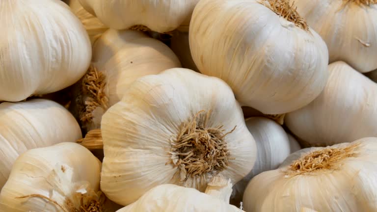 The Matel International - WhatsApp Image 2025-09-29 at 10.23.57 AM (1)